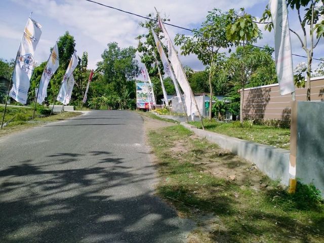 place photo 14