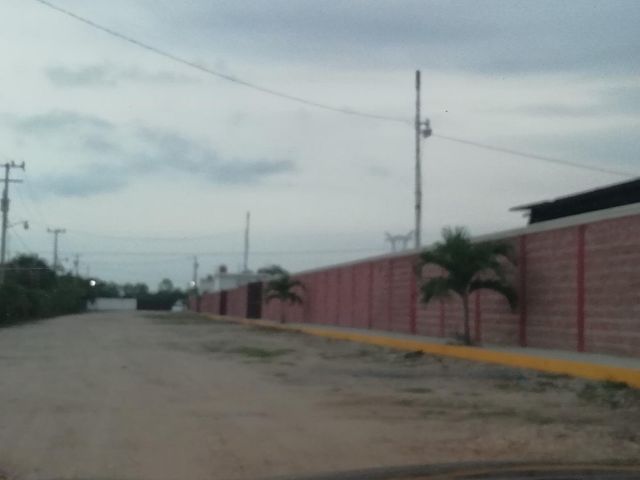 place photo 5