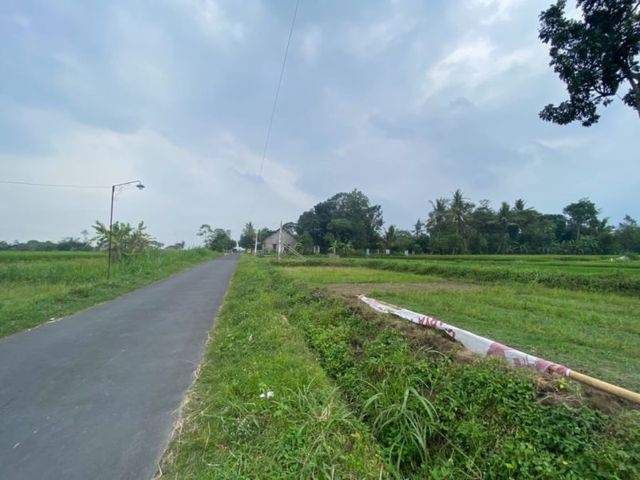 place photo 2