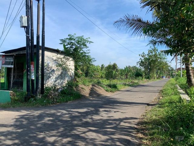 place photo 6