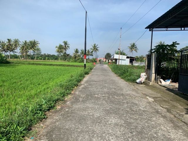 place photo 4