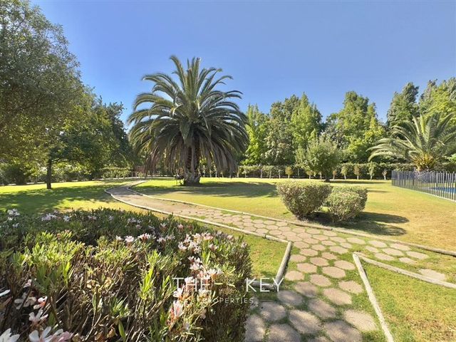 place photo 47
