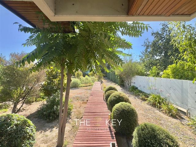 place photo 37