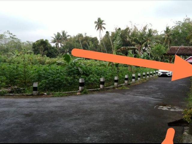 place photo 8