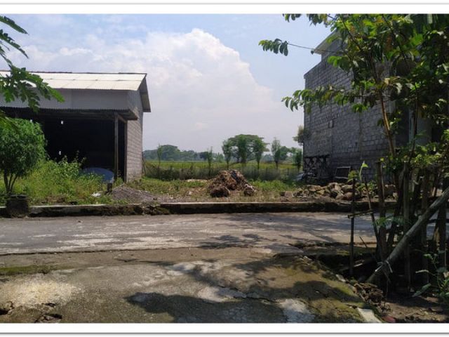 place photo 4