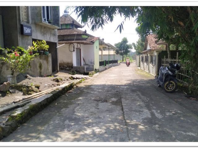 place photo 2