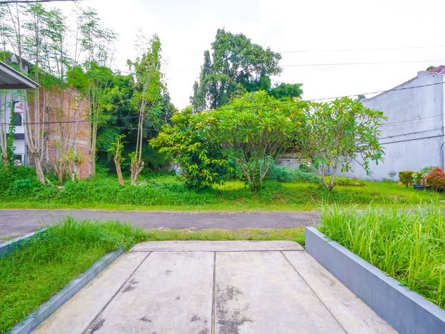 place photo 32