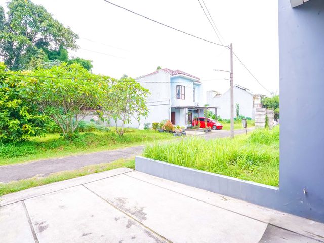 place photo 35