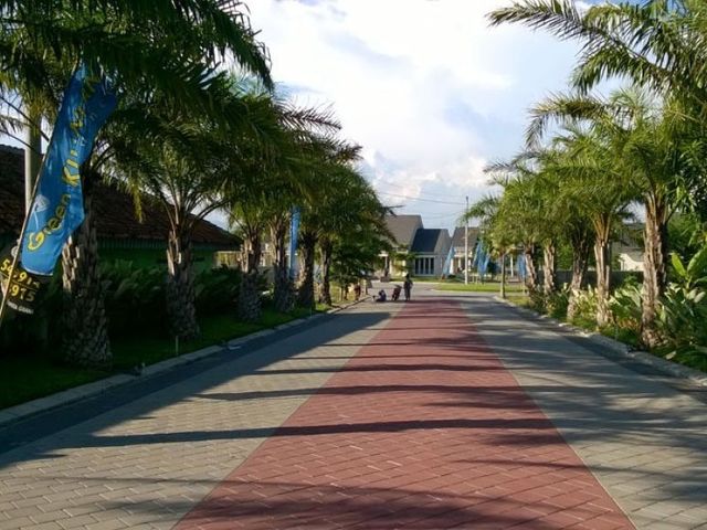 place photo 2