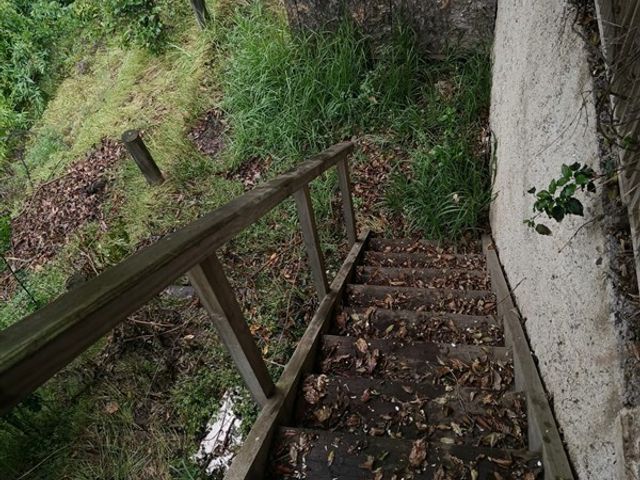 place photo 40