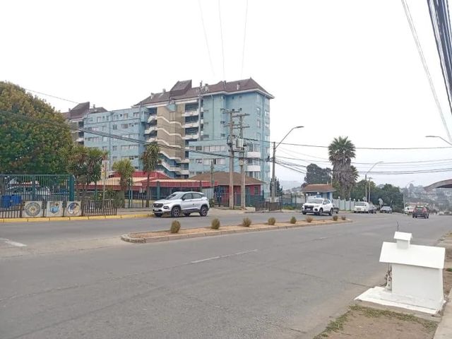 place photo 17