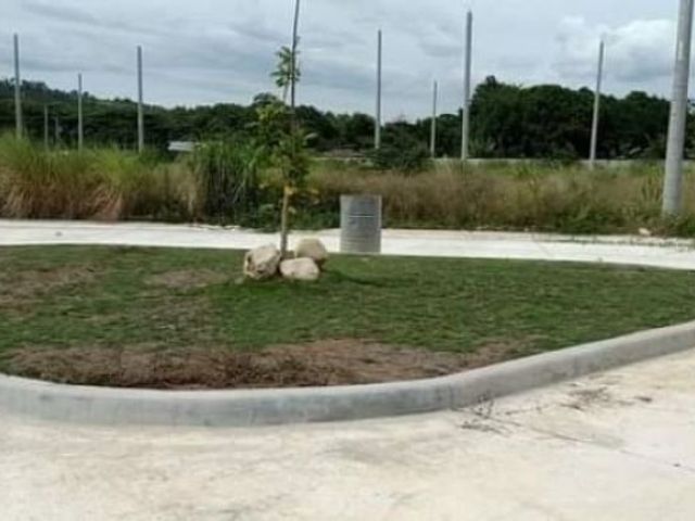 place photo 21
