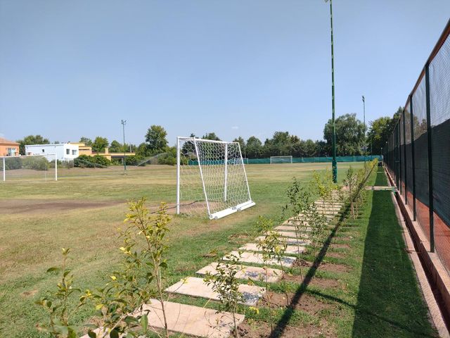place photo 42