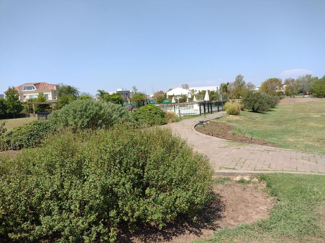 place photo 46