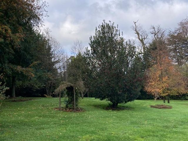 place photo 19