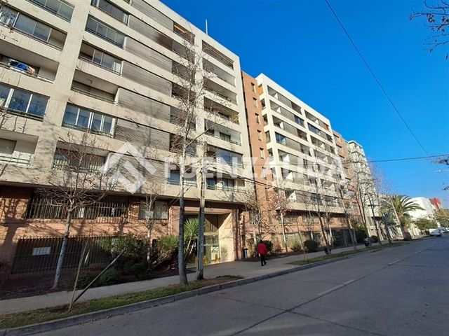 place photo 34