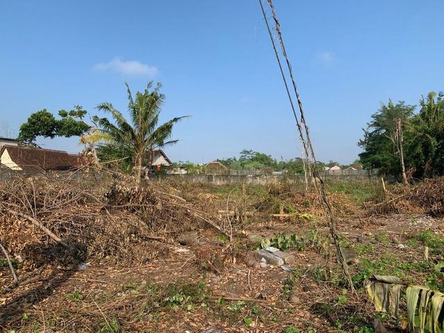 place photo 3