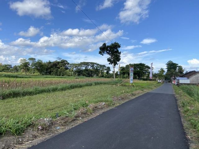 place photo 6