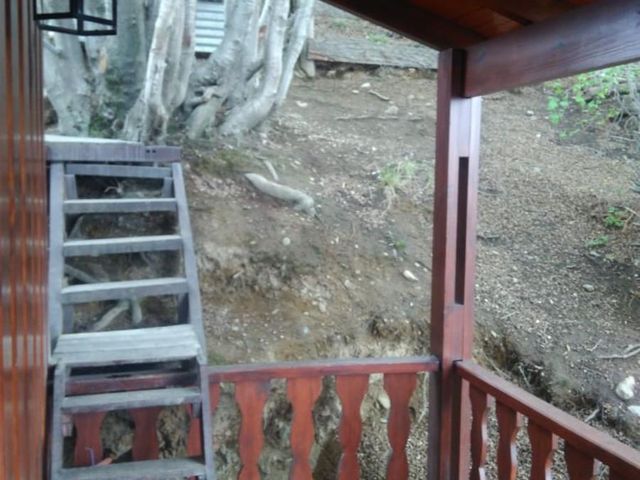 place photo 77