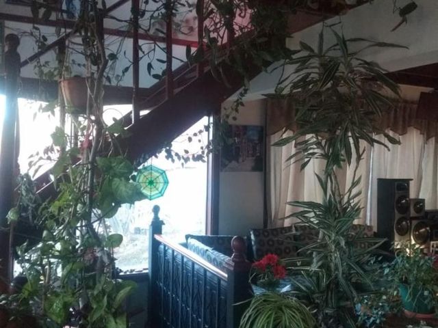 place photo 44