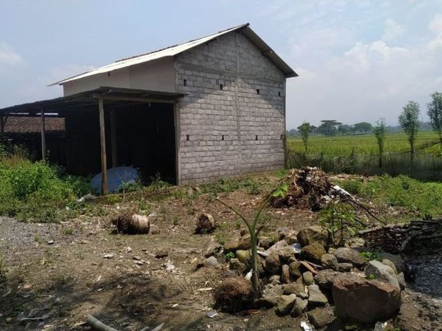 place photo 4