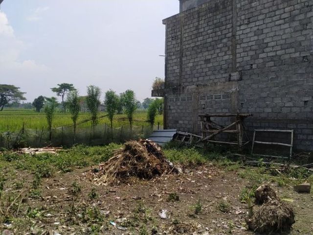 place photo 5