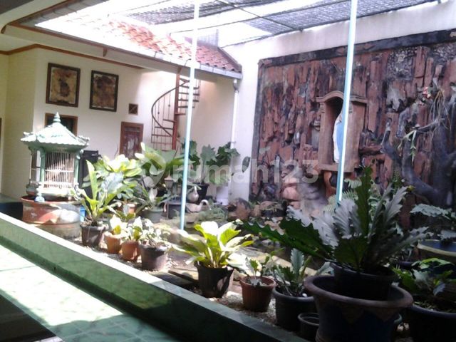 place photo 11
