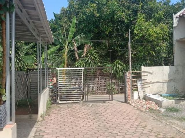 place photo 3