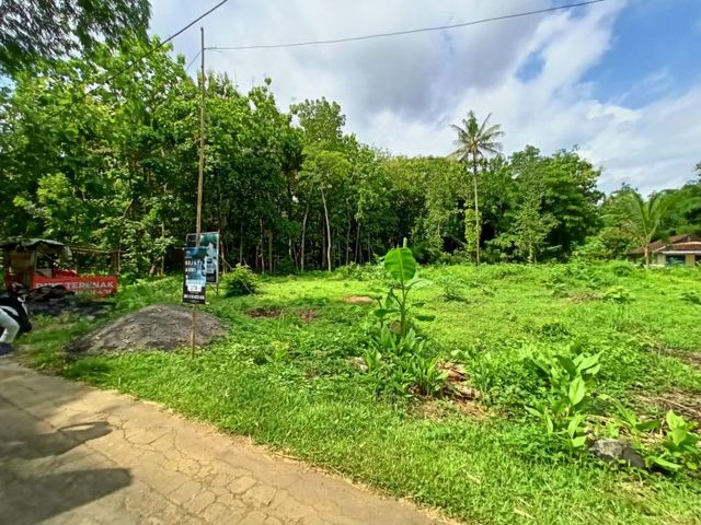 place photo 5