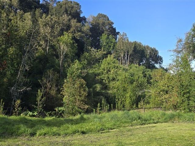 place photo 33