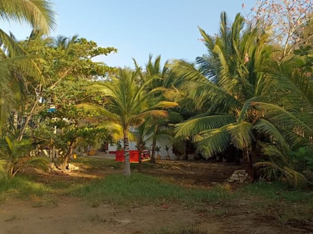place photo 27