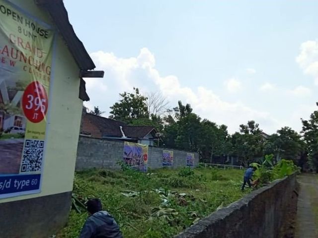 place photo 8