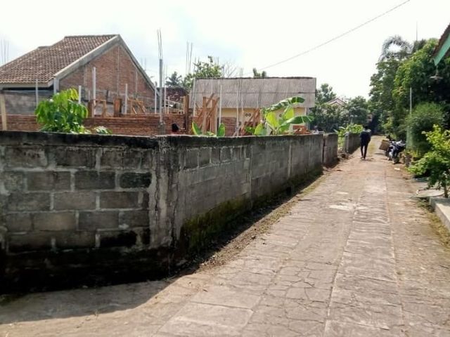 place photo 11