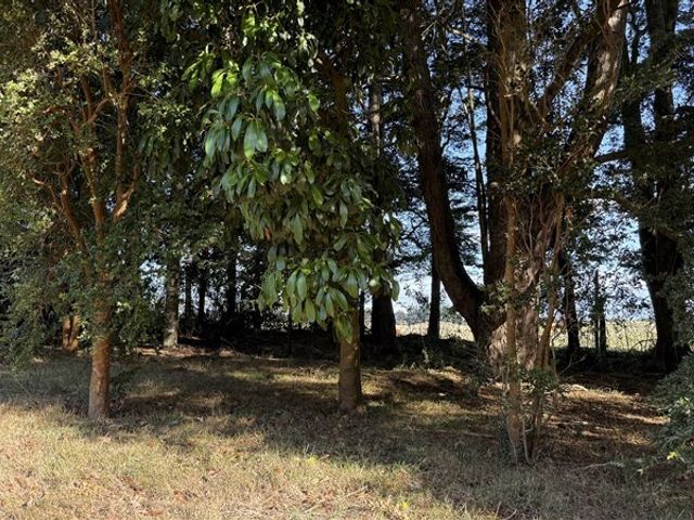 place photo 31