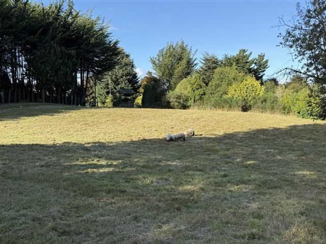 place photo 32