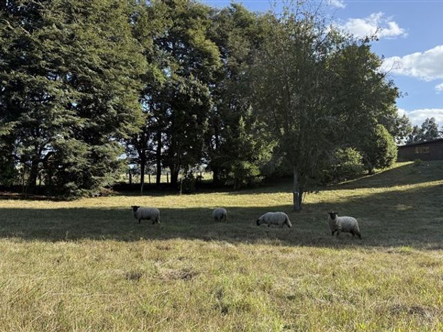 place photo 29
