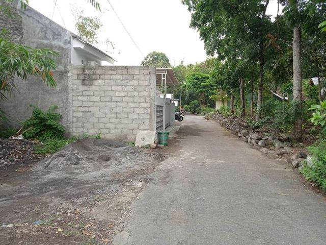 place photo 5