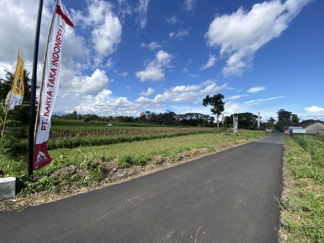 place photo 2