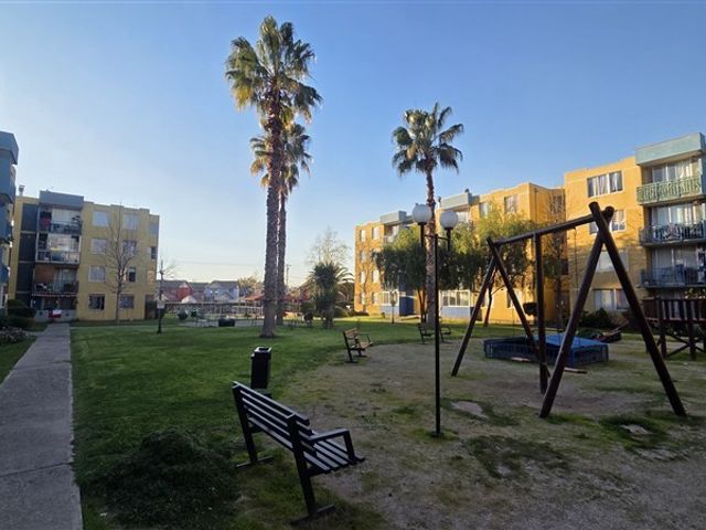 place photo 36