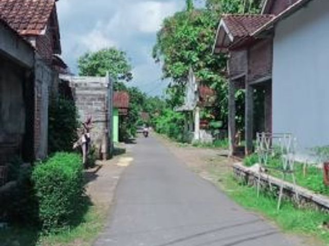 place photo 6