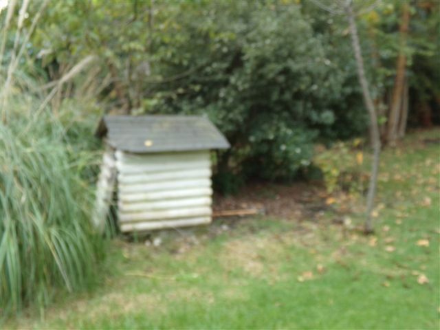 place photo 42