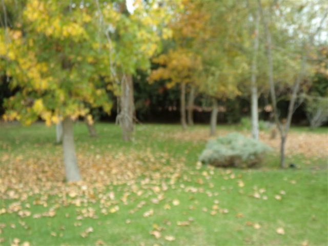 place photo 43