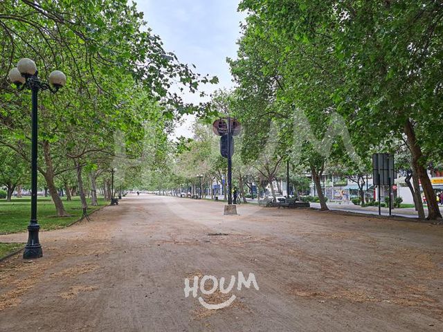 place photo 36
