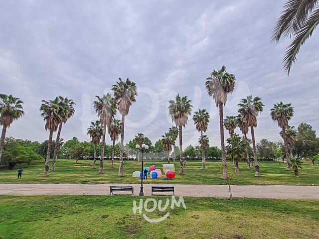 place photo 37