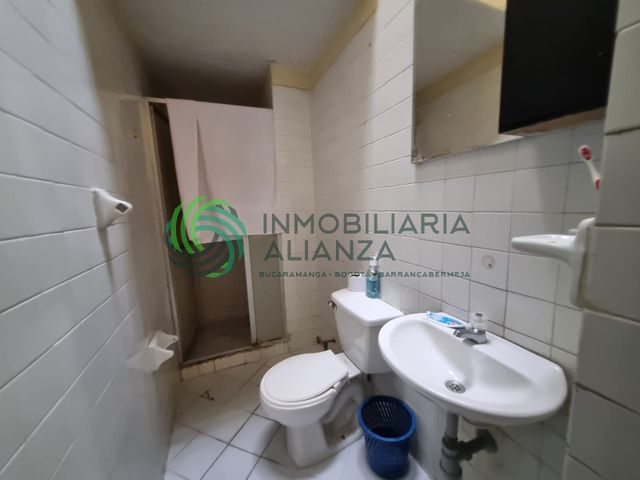 place photo 14