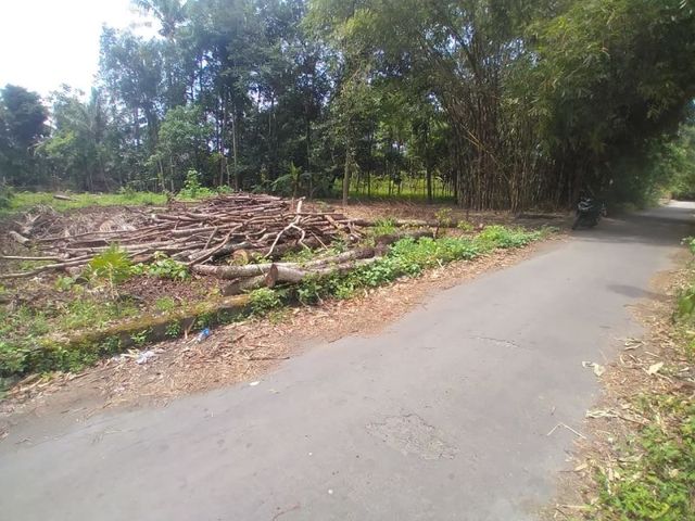 place photo 7