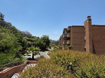 place photo 49