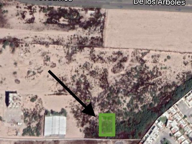 place photo 9