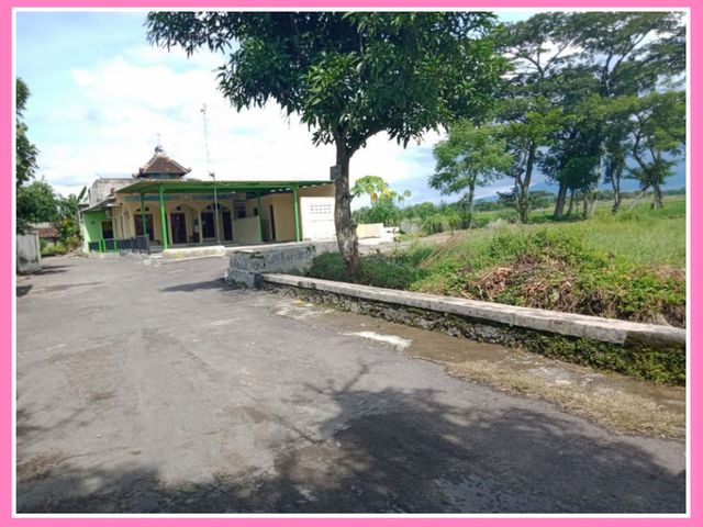 place photo 5