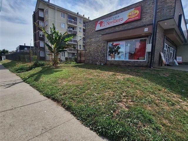 place photo 15